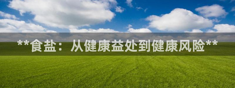 威九国际78mb特点