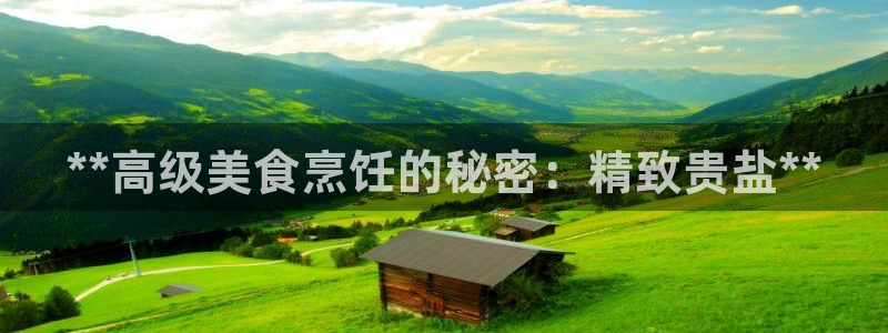 威九国际app网站官网