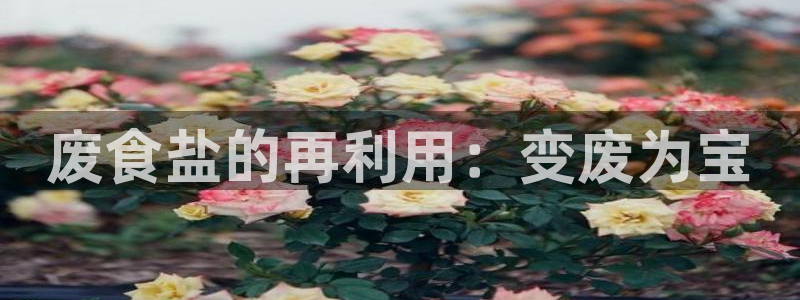 78mppt威九国际