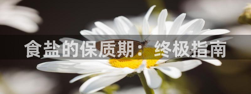威九国际男演员