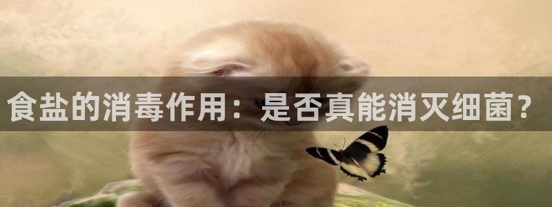 威九国际X8