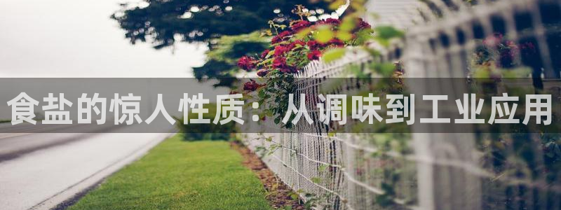 威九国际app下载