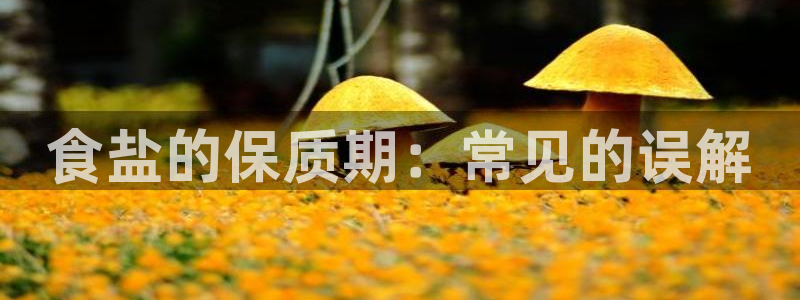 威九国际人民网招聘