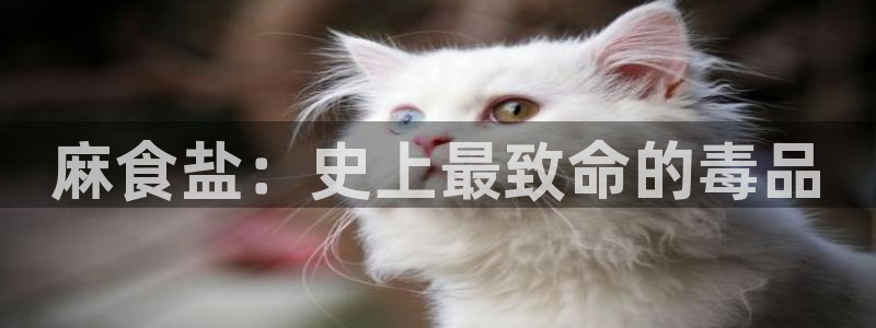 78mapp威九国际网
