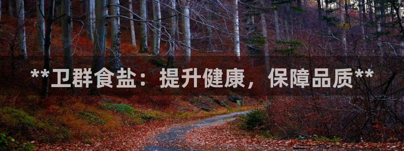 威九国际78mb特点