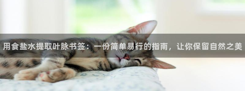 威九国际app入口在哪