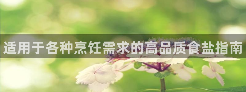 66m威九国际成长模式