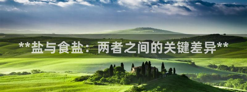 威九国际下载官网app