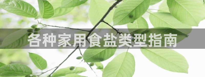 威九国际清砖码头怎么样