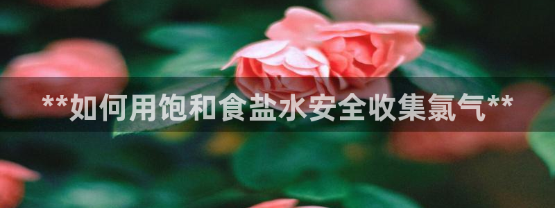 威九国际78mb42- MBA中文