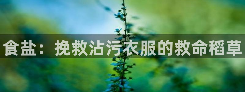 威九国际cm78