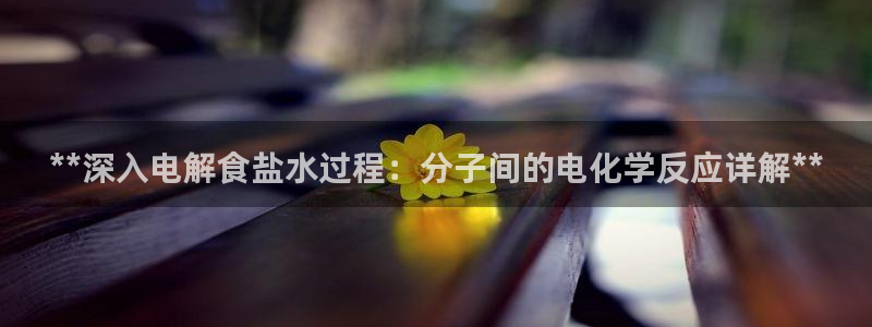 威九国际网站入口官网首页下载