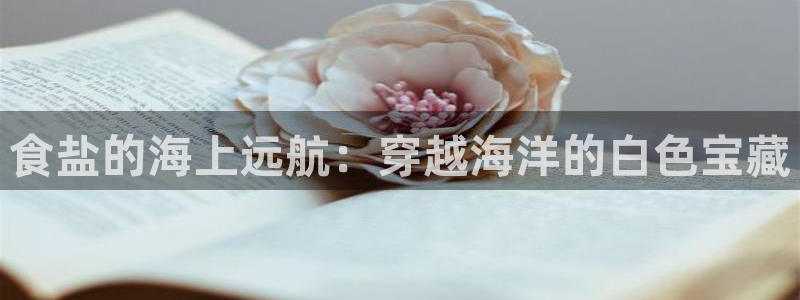 威九国际ppt免费吗