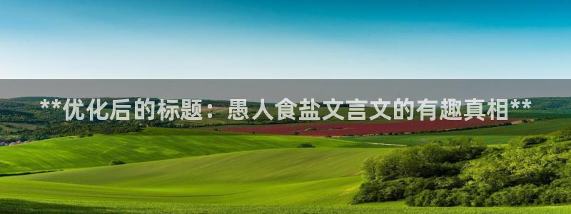 威九国际软件公司简介