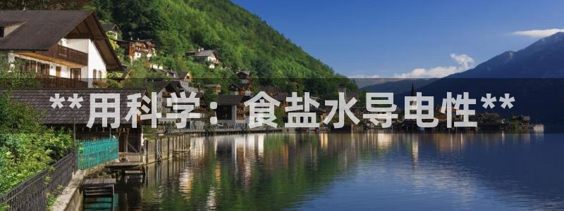 保定威九网络科技有限公司怎么样