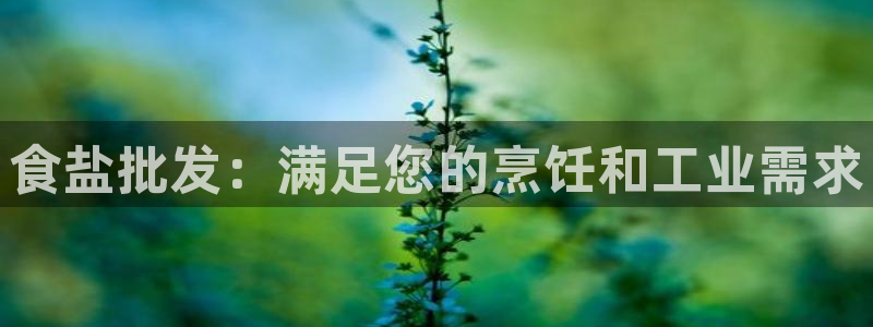 威九国际网站安全吗可靠吗