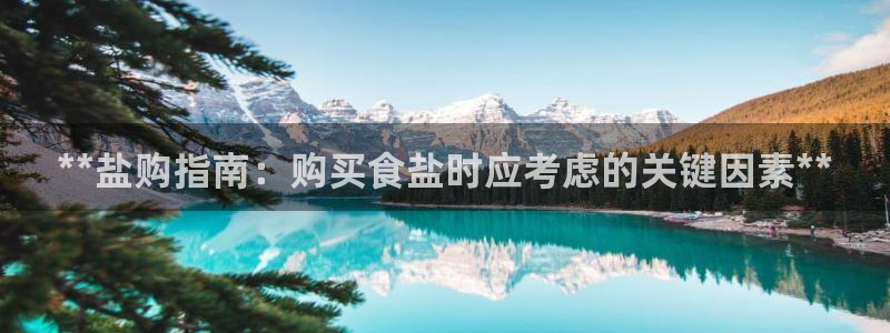 威九国际APP客服