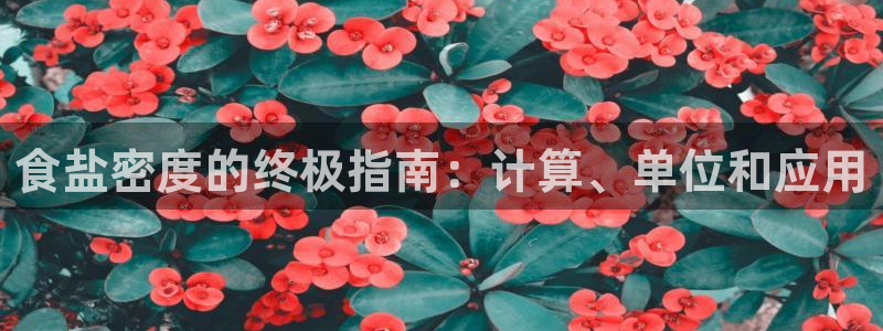 威九国际官网在线进入网站查询