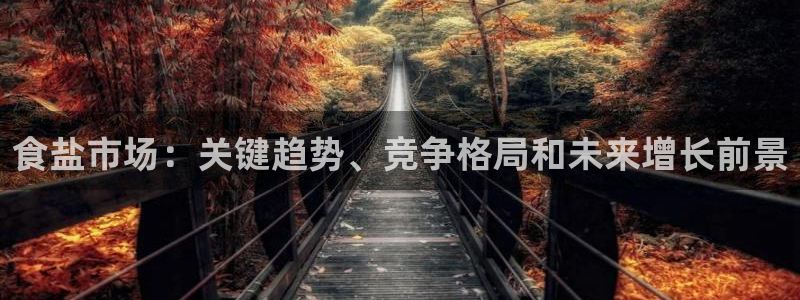 威九国际fX8x