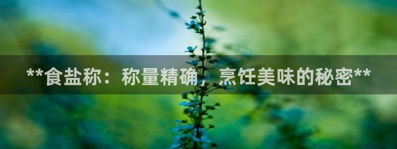 威九国际78mb玩法