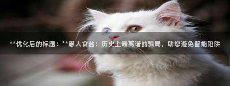 威九国际app哪个地方