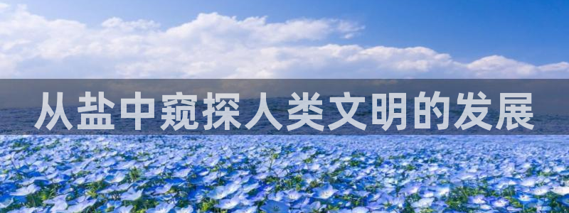 66m威九国际精选