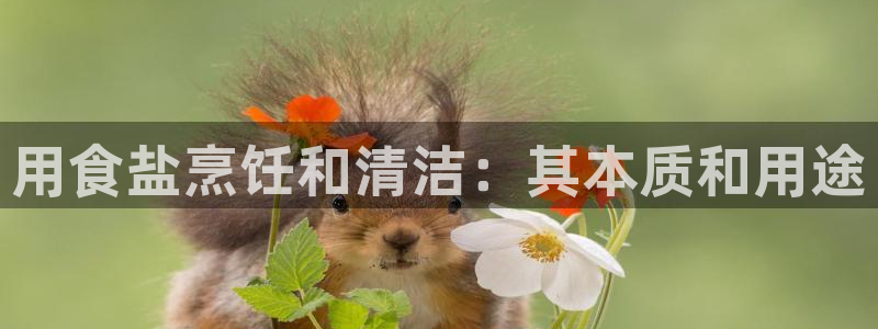 威九国际精