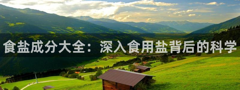 威九国际旗下艺人都有谁