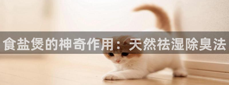 威九国际动漫