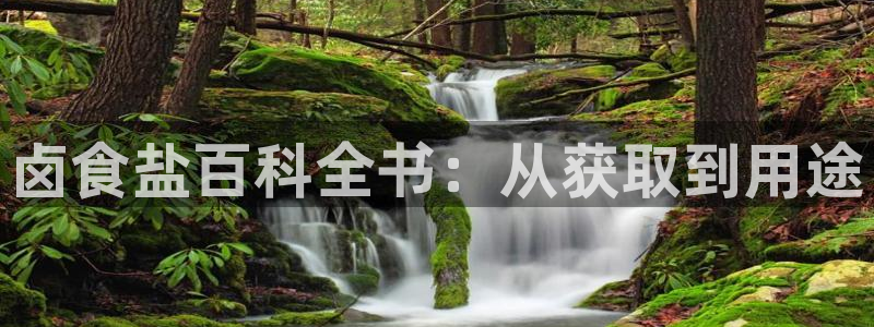 威九国际78m小说