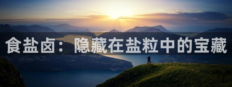 威九国际网站入囗