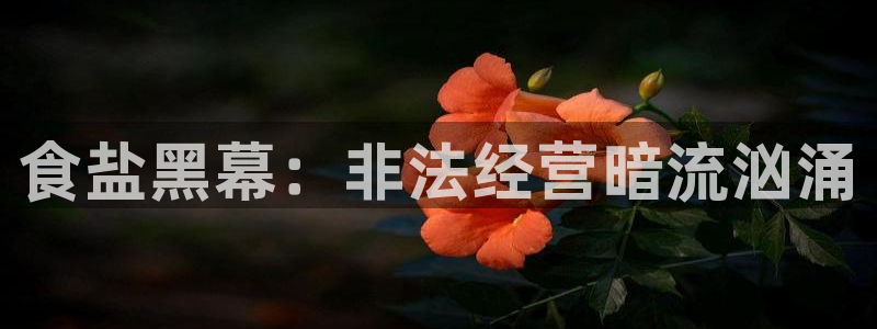 威九国际电影2022年9月月