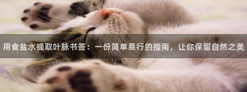 威九国际官方入口官网