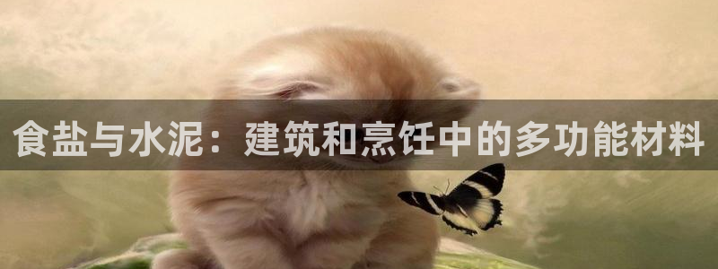 威九国际清砖码头在哪