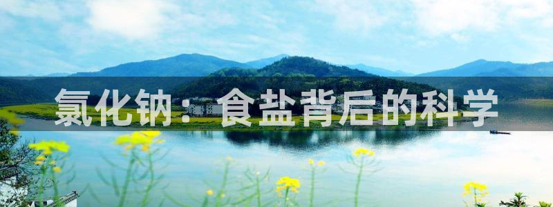 威九国际网站客服电话多少号码