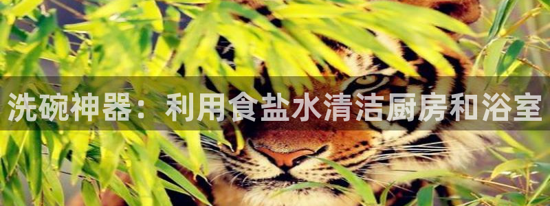 78mapp威九国际媒体央视