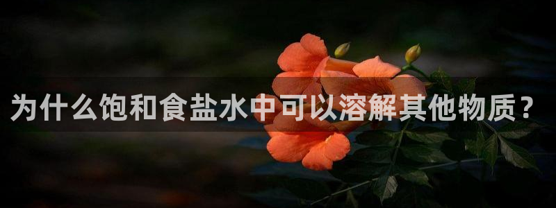 威九国际替好友去