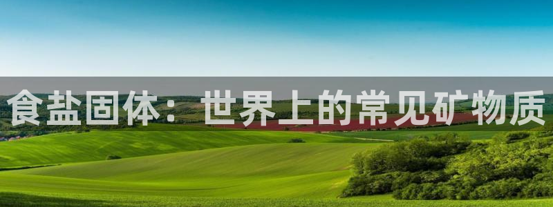 66m威九国际精选