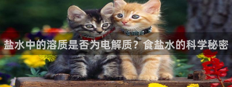 威九国际fX8x