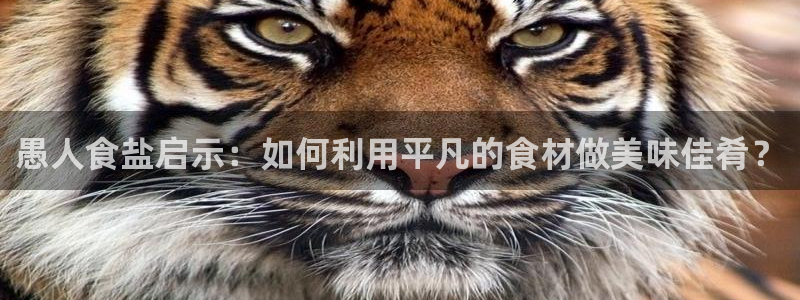 威九国际网站在哪里