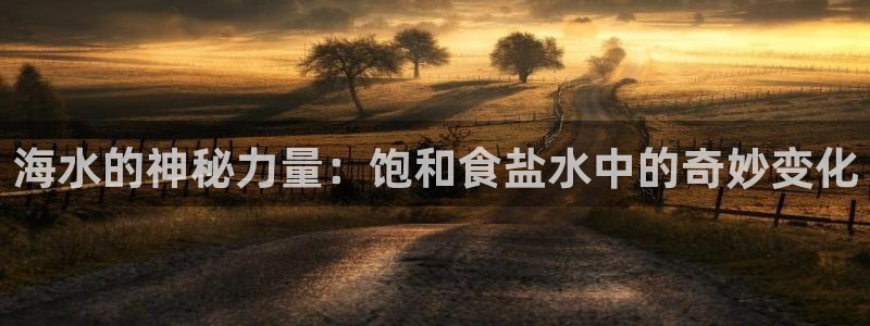 威九国际清砖码头在哪