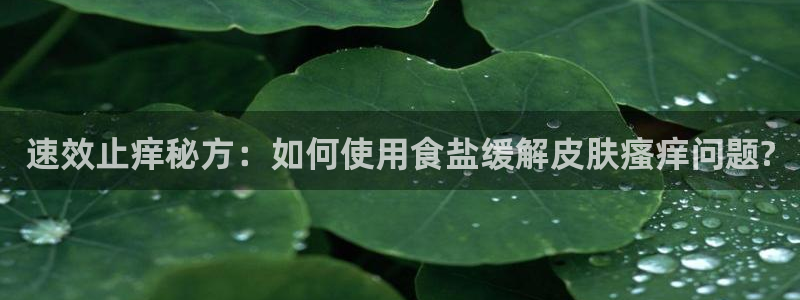 保定威九网络科技有限公司