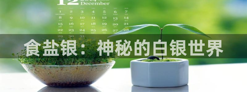 威九国际网站