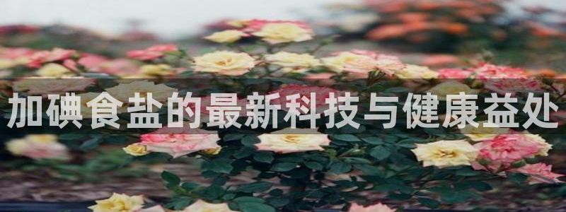 威九国际网站入囗