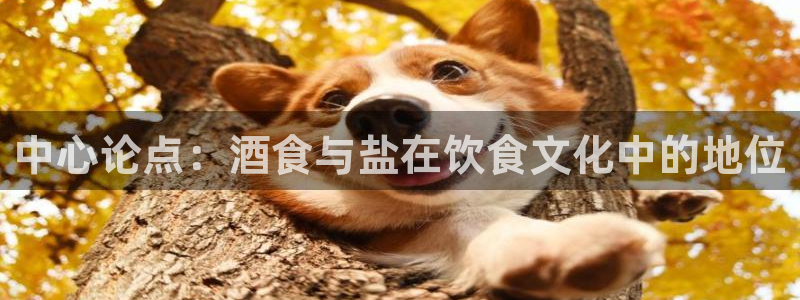 威九国际真人游戏：中心论点：酒食与盐在饮食文化中的地位