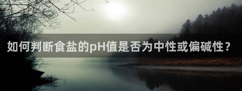 威九国际清砖码头在哪
