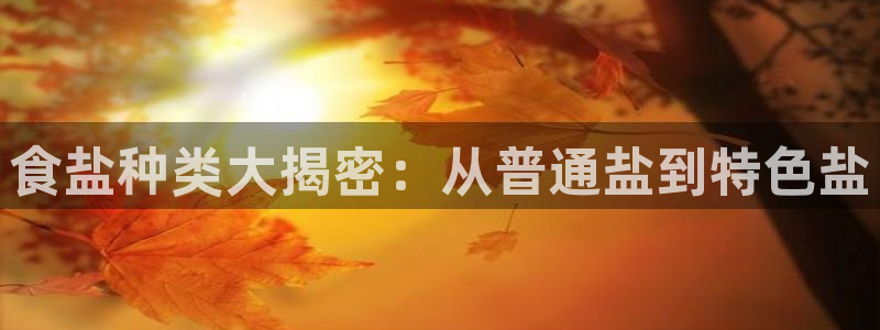 威九国际替好友去