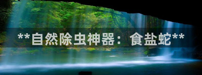 威九国际免费网络站