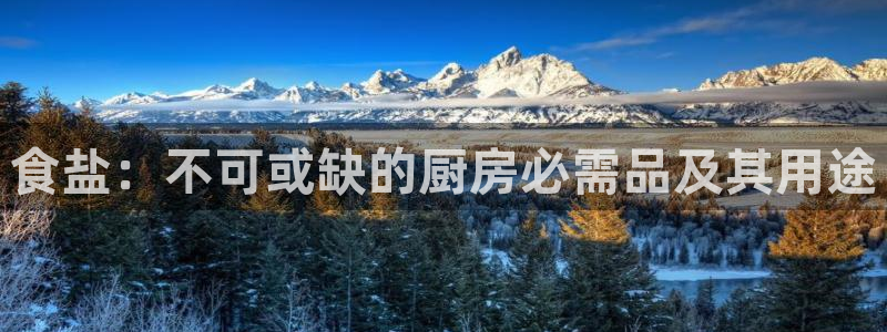 威九国际78m域名