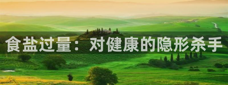 威九国际ppt免费